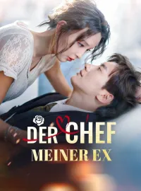 Der Chef meiner Ex