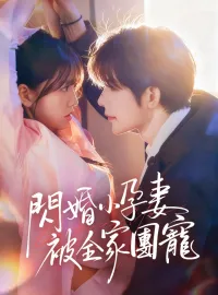 閃婚小孕妻被全家團寵