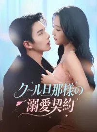クール旦那様の溺愛契約