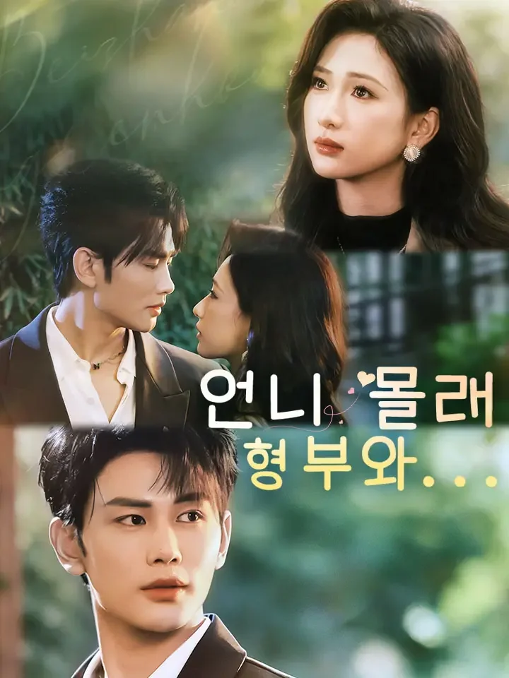 언니 몰래 형부와...