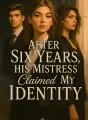 After Six Years, His Mistress Claimed My Identity cover