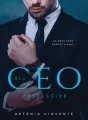 Meu Ceo Possessivo cover
