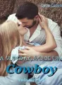 A superação de um Cowboy (Série Cowboys vl. 4/5) cover