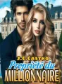 Propriété du Millionnaire cover