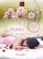 เมียคืนแรม cover