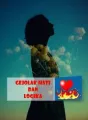 Gejolak Hati dan Logika cover