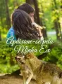 Apaixone-se pela Minha Ex cover