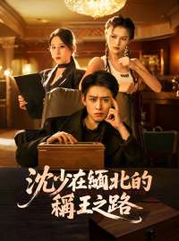 沈少在緬北的稱王之路