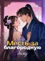Месть за благородную даму cover