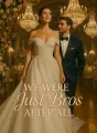 We Were Just Bros After All cover