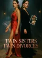 Twin Sisters Twin Divorces cover