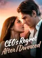 CEO's Regret After I Divorced cover