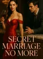 Secret Marriage No More cover