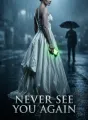 Never See You Again cover