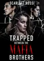Trapped Between the Mafia Brothers cover