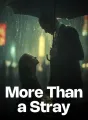 More Than a Stray cover