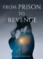 From Prison to Revenge cover
