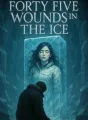 Forty Five Wounds in the Ice cover
