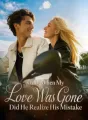 Only When My Love Was Gone ，Did He Realize His Mistake. cover