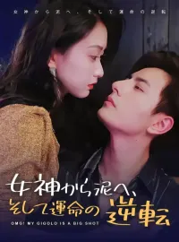 女神から泥へ、そして運命の逆転