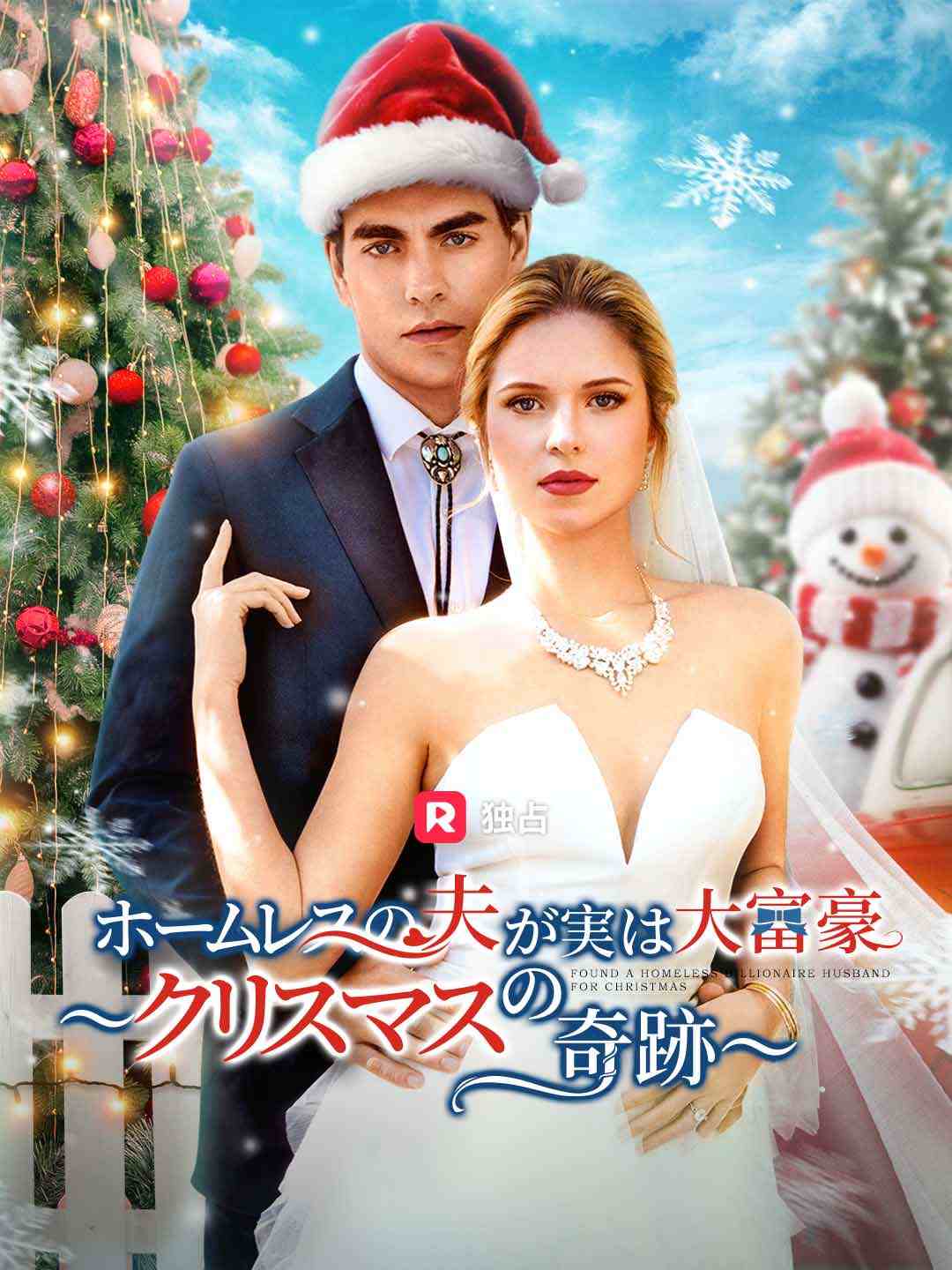 (吹き替え) ホームレスの夫が実は大富豪 ～クリスマスの奇跡～