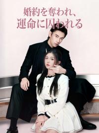 婚約を奪われ、 運命に囚われる