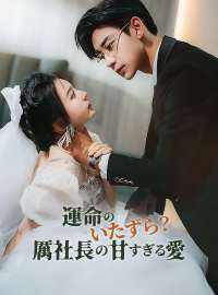 運命のいたずら?厲社長の甘すぎる愛