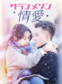 グランメゾン情愛