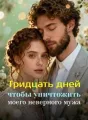 Тридцать дней, чтобы уничтожить моего неверного мужа cover