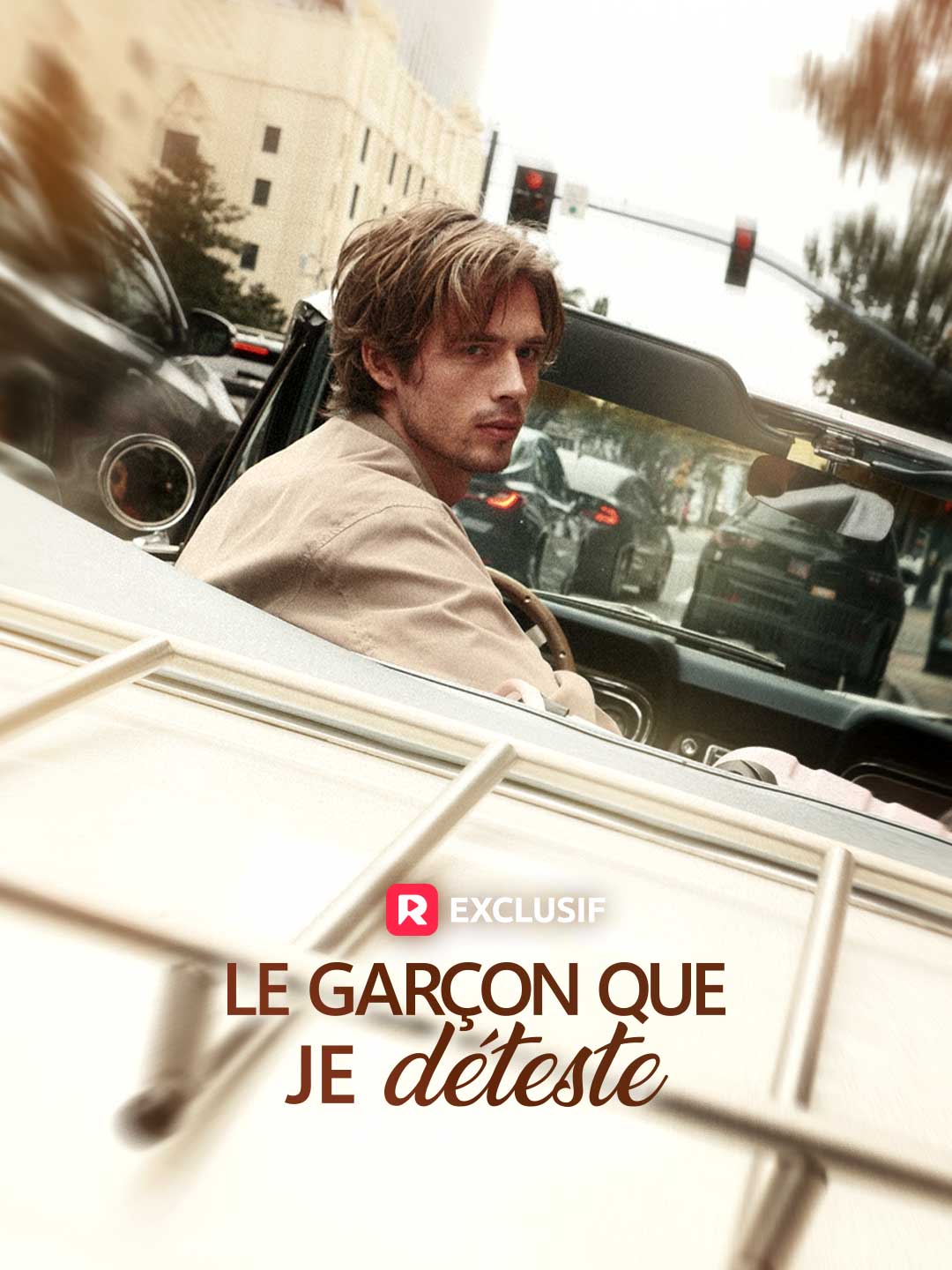 Le Garçon que je déteste