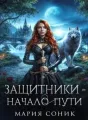 Защитники - начало пути cover