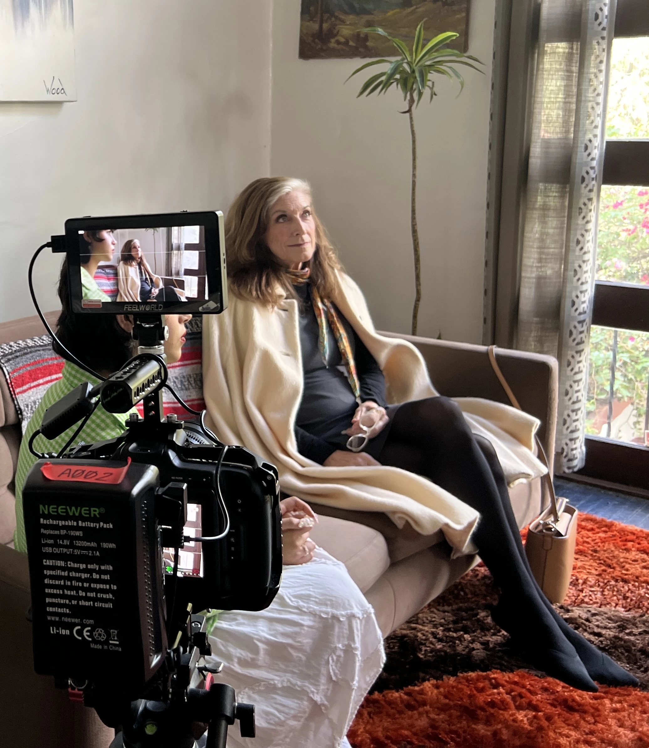 Lynn Allinger Wallpaper