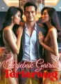 Terjebak Gairah Terlarang cover