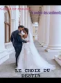 Le choix du destin  cover