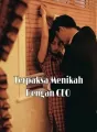 Terpaksa Menikah Dengan CEO cover