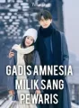 GADIS AMNESIA MILIK SANG PEWARIS  cover