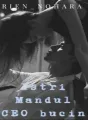 Istri mandul CEO bucin cover