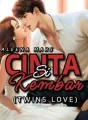 Cinta Si Kembar (TWINS LOVE) cover