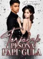 Terjebak Pesona Papi Gula cover