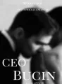 CEO Bucin cover