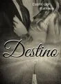 Destino... cover