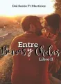 Entre Birras y Chelas II cover