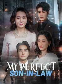My Perfect Son-in-LawShort Dramas