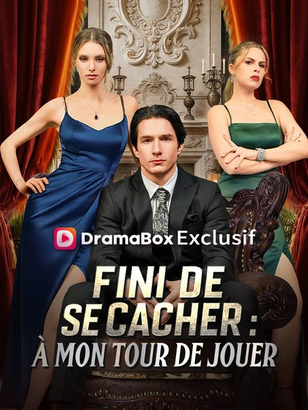 Fini de Se Cacher : À Mon Tour de Jouer ( Doublé )