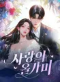 ์ฌ๋์ ์ฌ๊ฐ๋ฏธ cover