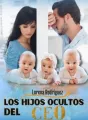 LOS HIJOS OCULTOS DEL CEO cover