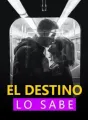 El Destino Lo Sabe cover