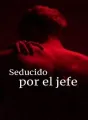 Seducido por el jefe cover