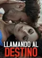 Llamando al destino  cover
