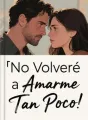 No Volveré a Amarme Tan Poco cover